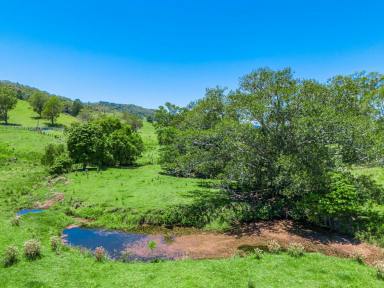 Farm For Sale - NSW - Spring Grove - 2470 - Rural Retreat on Private Road with Creek Frontage  (Image 2)