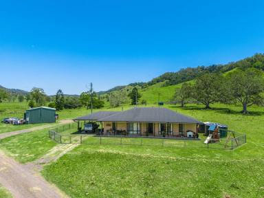 Farm For Sale - NSW - Spring Grove - 2470 - Rural Retreat on Private Road with Creek Frontage  (Image 2)