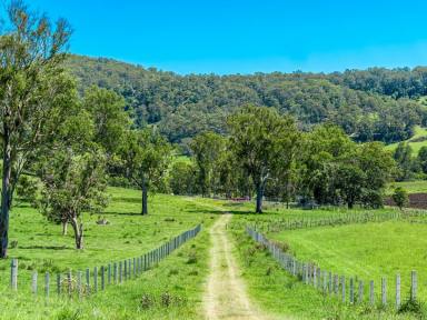 Farm For Sale - NSW - Fernside - 2480 - Grazing  - Cropping - 335 Acres with 5 Bed Home  (Image 2)