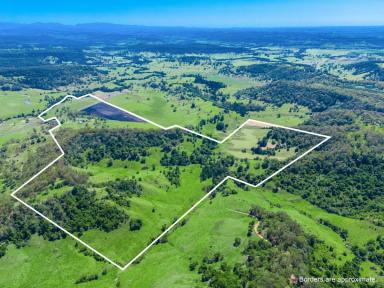 Farm For Sale - NSW - Fernside - 2480 - Grazing  - Cropping - 335 Acres with 5 Bed Home  (Image 2)