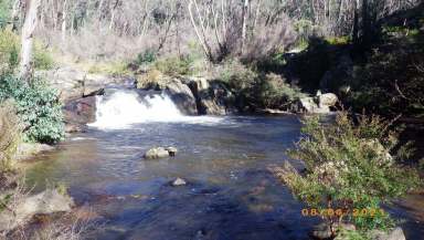 Farm For Sale - NSW - Tumbarumba - 2653 - SNOWY MOUNTAINS NSW. 290 Acres on Paddy's River.  (Image 2)