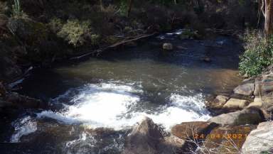 Farm For Sale - NSW - Tumbarumba - 2653 - SNOWY MOUNTAINS NSW. 290 Acres on Paddy's River.  (Image 2)