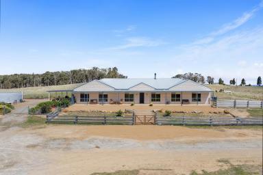 Farm For Sale - NSW - Yass River - 2582 - The tree change you've been waiting for.  (Image 2)