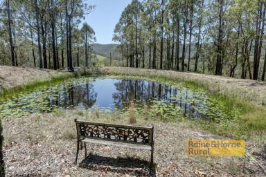 Farm Sold - NSW - Upper Myall - 2423 - Upper Myall Lifestyle  (Image 2)