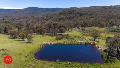 Farm For Sale - NSW - Forbes Creek - 2621 - Large Rural Block backing onto National Park  (Image 2)