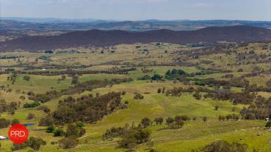Farm For Sale - NSW - Forbes Creek - 2621 - Large Rural Block backing onto National Park  (Image 2)
