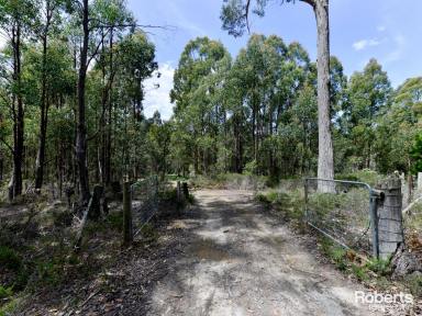 Farm Sold - TAS - Ellendale - 7140 - Peace & Quiet with so much Natural Beauty  (Image 2)