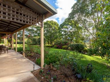 Farm For Sale - NSW - Brogo - 2550 - COUNTRY LIVING AT ITS BEST!  (Image 2)