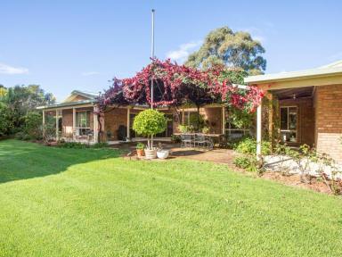 Farm For Sale - NSW - Brogo - 2550 - COUNTRY LIVING AT ITS BEST!  (Image 2)