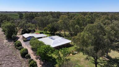 Farm For Sale - NSW - Moree - 2400 - Brick Family Home With Open Space  (Image 2)