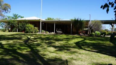 Farm For Sale - NSW - Moree - 2400 - Brick Family Home With Open Space  (Image 2)