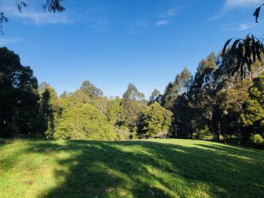 Farm For Sale - VIC - Toora - 3962 - "Spring Valley"  (Image 2)