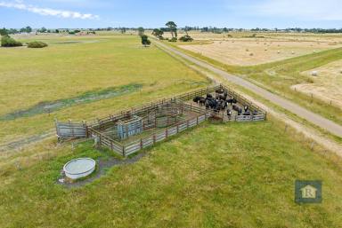 Farm For Sale - VIC - Cororooke - 3254 - Promising piece of land in Cororooke..  (Image 2)