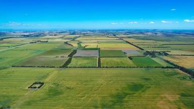 Farm For Sale - VIC - Bradvale - 3361 - “Gum Park” - Secure location perfect for grazing or cropping purposes  (Image 2)