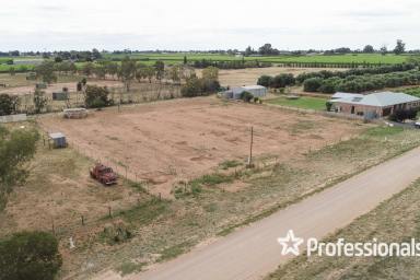 Farm For Sale - VIC - Red Cliffs - 3496 - Over One Acre & I Come with a Permit  (Image 2)