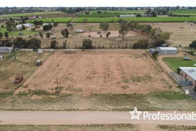 Farm For Sale - VIC - Red Cliffs - 3496 - Over One Acre & I Come with a Permit  (Image 2)