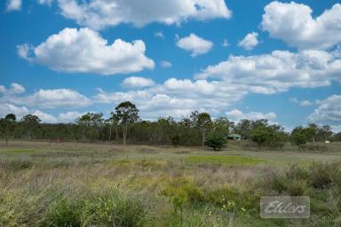 Farm For Sale - QLD - Kilkivan - 4600 - BE SELF SUFFICIENT HERE!  (Image 2)