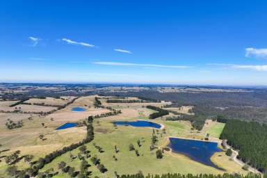 Farm For Sale - NSW - Sutton Forest - 2577 - Large Scale Land Holding with Water & Natural Beauty  (Image 2)