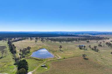 Farm For Sale - NSW - Sutton Forest - 2577 - Large Scale Land Holding with Water & Natural Beauty  (Image 2)