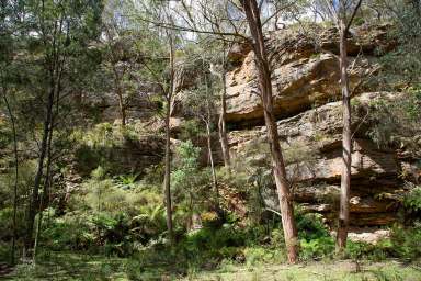 Farm For Sale - NSW - Sutton Forest - 2577 - The Perfect Balance of Grazing & Nature  (Image 2)