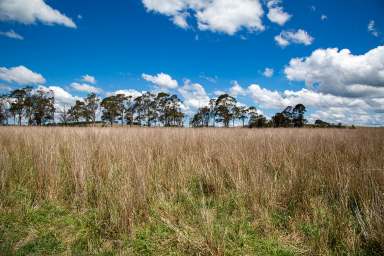 Farm For Sale - NSW - Sutton Forest - 2577 - The Perfect Balance of Grazing & Nature  (Image 2)