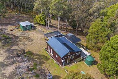 Farm Sold - TAS - Nubeena - 7184 - All "off the Grid". Living the dream! Surrounded by nature, the birds and wildlife abound, this truly is an amazing natural retreat.  (Image 2)