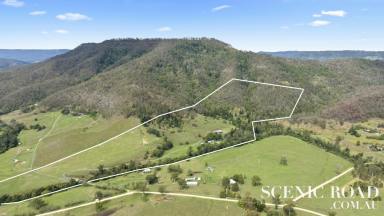 Farm For Sale - QLD - Sarabah - 4275 - 75 Acre Country Estate Sarabah Valley Canungra  (Image 2)