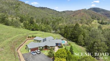 Farm For Sale - QLD - Sarabah - 4275 - 75 Acre Country Estate Sarabah Valley Canungra  (Image 2)