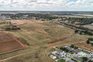 Farm For Sale - NSW - Buronga - 2739 - Attention Developers & Investors  (Image 2)