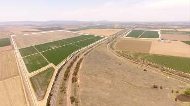 Farm For Sale - NSW - Bilbul - 2680 - IRRIGATION FARM MINUTES FROM CBD - SALE or LEASE  (Image 2)