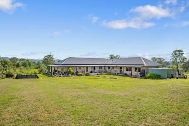 Farm For Sale - NSW - Dungog - 2420 - More Than Meets the Eye  (Image 2)