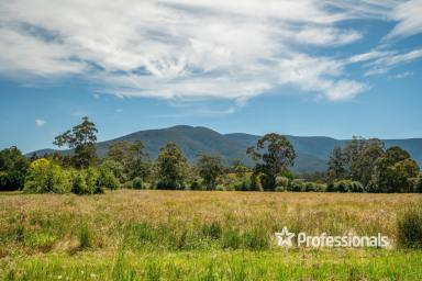 Farm Sold - VIC - Yarra Junction - 3797 - ALMOST 20 ACRES OF PERFECTION!  (Image 2)