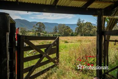 Farm Sold - VIC - Yarra Junction - 3797 - ALMOST 20 ACRES OF PERFECTION!  (Image 2)