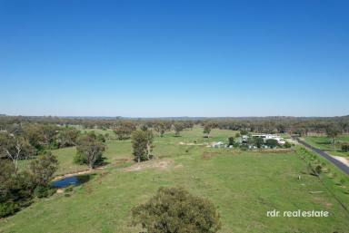 Farm For Sale - NSW - Ashford - 2361 - ESCAPE TO THE COUNTRY  (Image 2)