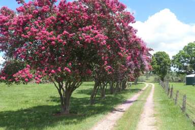 Farm Sold - NSW - Tabulam - 2469 - TABULAM STATION  (Image 2)