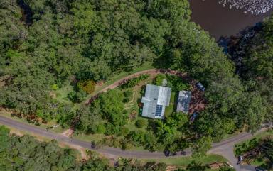 Farm For Sale - QLD - Cooroy - 4563 - Town Convenience With a Rural Feel  (Image 2)