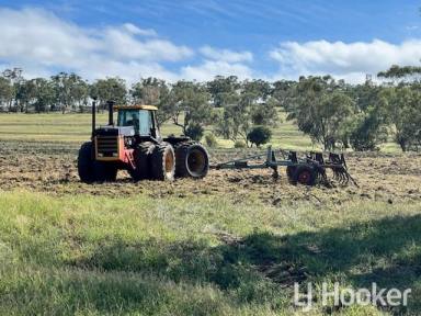 Farm For Sale - NSW - Warialda - 2402 - Grain & Livestock belt of North West NSW 
A Canvas of Endless Possibilities... Approx. 803.6 Hectares [1985 acres]. Freehold.  (Image 2)