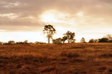 Farm For Sale - VIC - Axedale - 3551 - Rare Land Opportunity in Central Axedale  (Image 2)