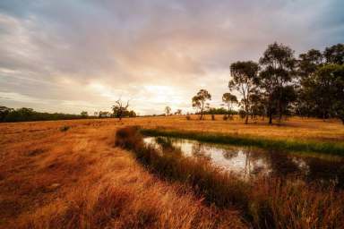 Farm For Sale - VIC - Axedale - 3551 - Rare Land Opportunity in Central Axedale  (Image 2)