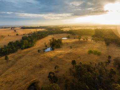 Farm For Sale - VIC - Axedale - 3551 - Rare Land Opportunity in Central Axedale  (Image 2)