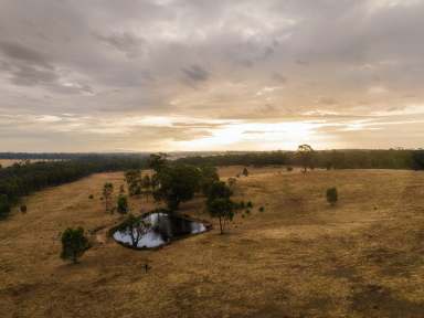 Farm For Sale - VIC - Axedale - 3551 - Rare Land Opportunity in Central Axedale  (Image 2)