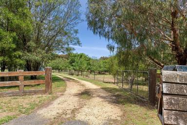 Farm Sold - VIC - Cargerie - 3334 - Outstanding Elaine - Meredith District Property  (Image 2)
