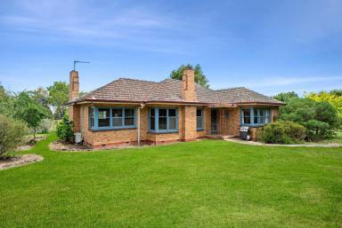 Farm Sold - VIC - Cargerie - 3334 - Outstanding Elaine - Meredith District Property  (Image 2)