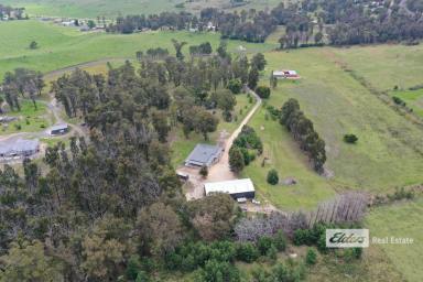 Farm For Sale - VIC - Sarsfield - 3875 - Work from home on over 11 acres.  (Image 2)