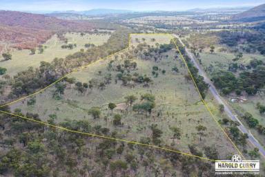 Farm For Sale - NSW - Tenterfield - 2372 - 'Gibsons' - 90 Acres with Easy Access.....  (Image 2)