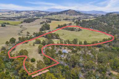 Farm For Sale - TAS - Orielton - 7172 - Unveil Your Dream: 37.6 Acres of Pure Potential Await in Orielton!  (Image 2)