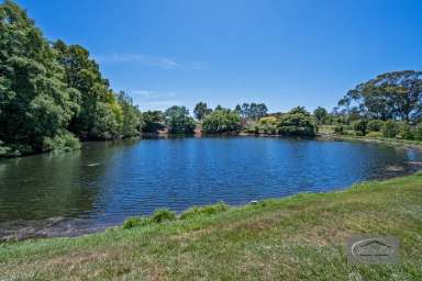 Farm For Sale - TAS - Smithton - 7330 - Exclusive Property within the Town Boundary with so many Features.  (Image 2)