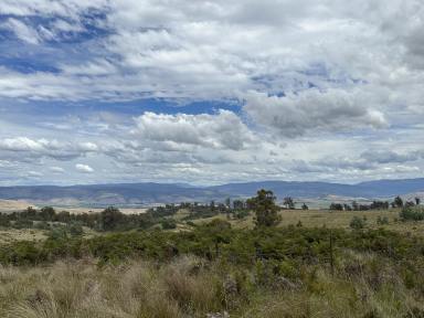 Farm For Sale - TAS - Gretna - 7140 - Forestry, Grazing, Hunting & Recreation  (Image 2)