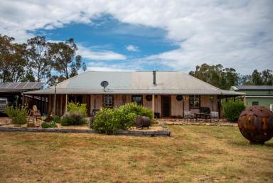 Farm For Sale - NSW - Camboon - 2849 - Lifestyle Oasis  (Image 2)