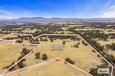 Farm For Sale - VIC - Norval - 3377 - 59 Acre Lifestyle Block - Minutes from Town - Grampians Views  (Image 2)